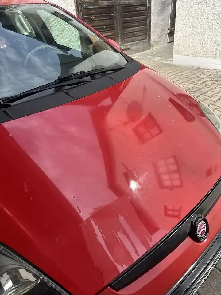 Gebraucht Fiat Punto 73 PS (53 kW) 2011 Kleinwagen