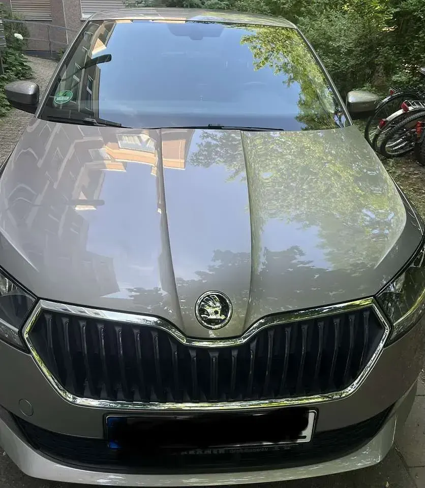 Gebraucht Skoda Fabia Style 110 PS (80 kW) 2019 Grau Kleinwagen