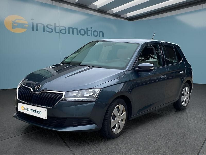 Grau Gebraucht 2021 Skoda Fabia Kleinwagen | 11.749 € (Guter Preis) - Bild 1/4