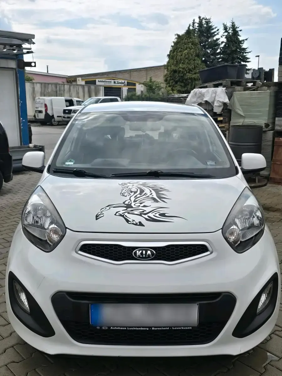 Gebraucht Kia Picanto 70 PS (51 kW) 2014 Weiß Kleinwagen