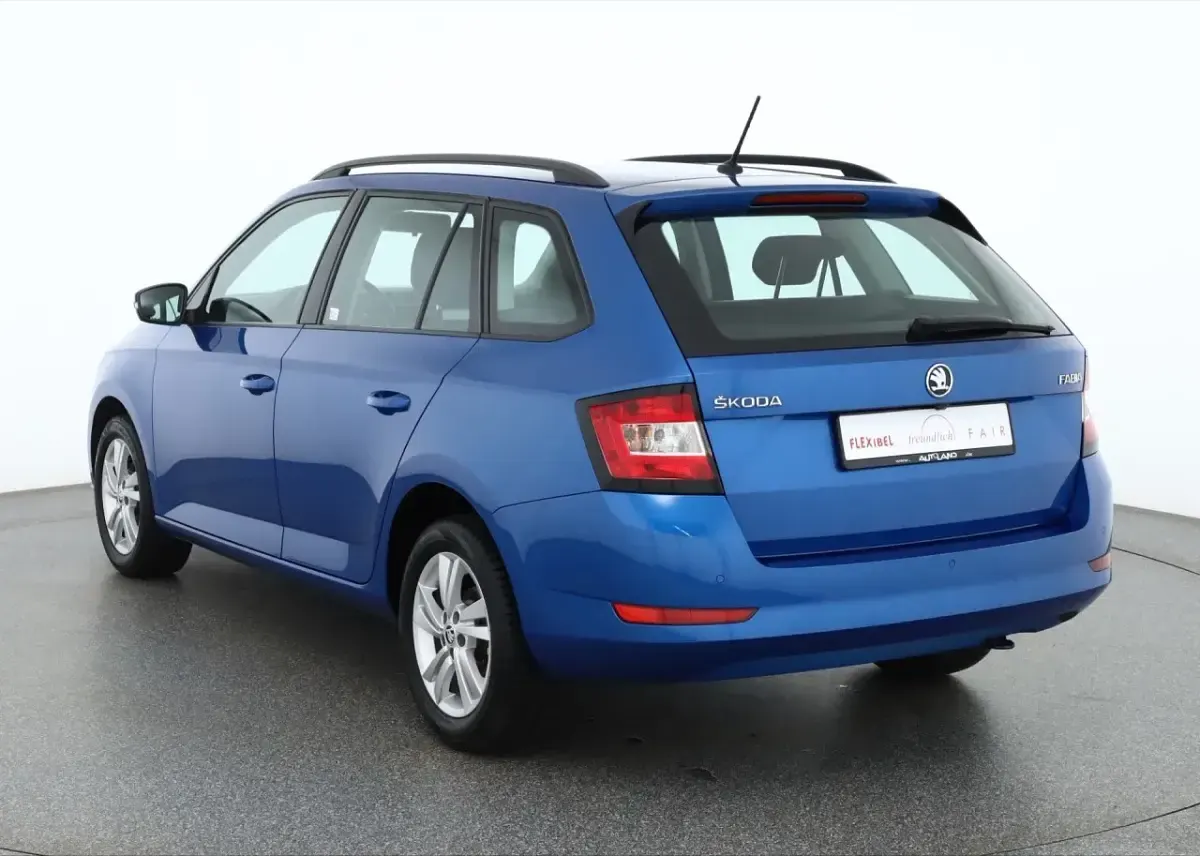 Gebraucht Skoda Fabia Ambition 96 PS (70 kW) 2019 Grau Kleinwagen