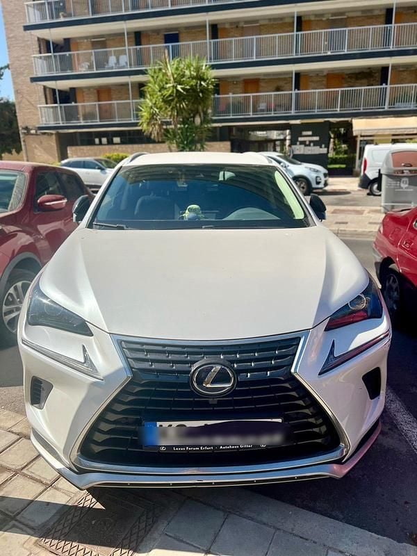 Weiß Gebraucht 2021 Lexus NX300h SUV | 28.000 € (Superpreis) - Bild 1/4