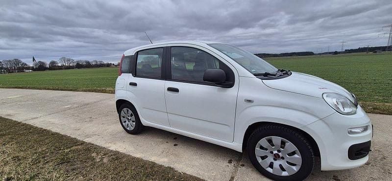 Gebraucht Fiat Panda Easy 69 PS (50 kW) 2014 Weiß Kleinwagen