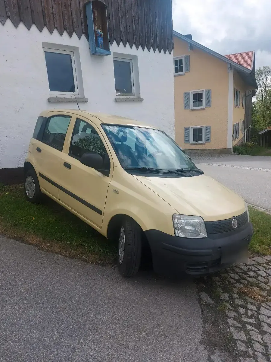 Używany Fiat Panda 60 KM (44 kW) 2009 Żółty Hatchback