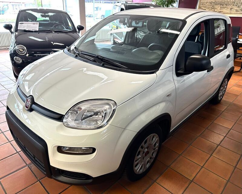 Weiß Gebraucht 2023 Fiat Panda Kleinwagen | 12.900 € (Fairer Preis) - Bild 1/4