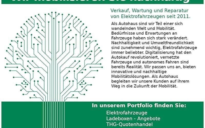 Gebraucht Renault Zoe Intens 100 kW (136 PS) 2021 Weiß(metallic) Kleinwagen