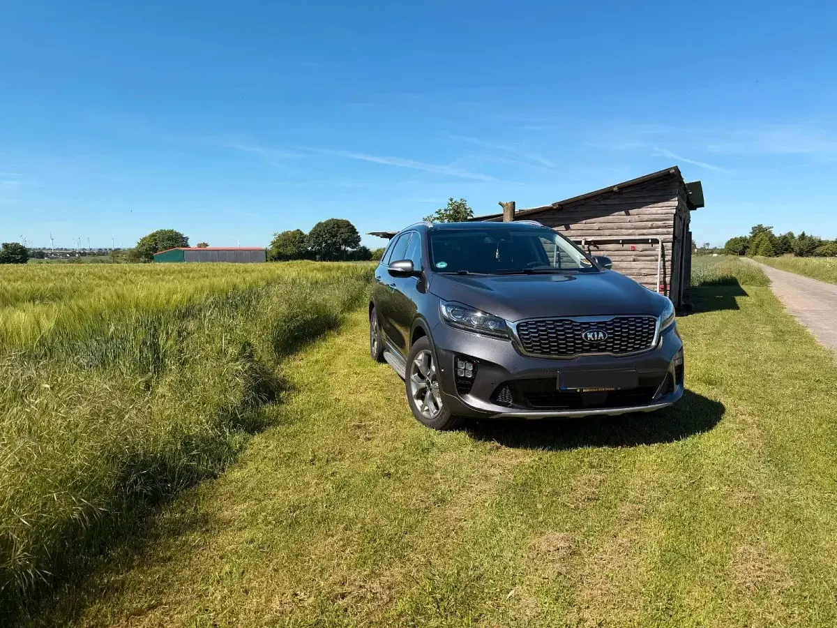 Gebraucht Kia Sorento 200 PS (147 kW) 2018 Grau SUV