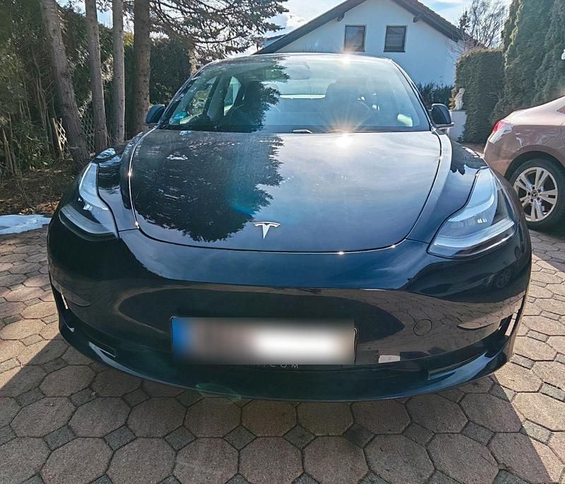 Gebraucht Tesla Model 3 Standard Range Plus 225 kW (306 PS) 2019 Schwarz Limousine