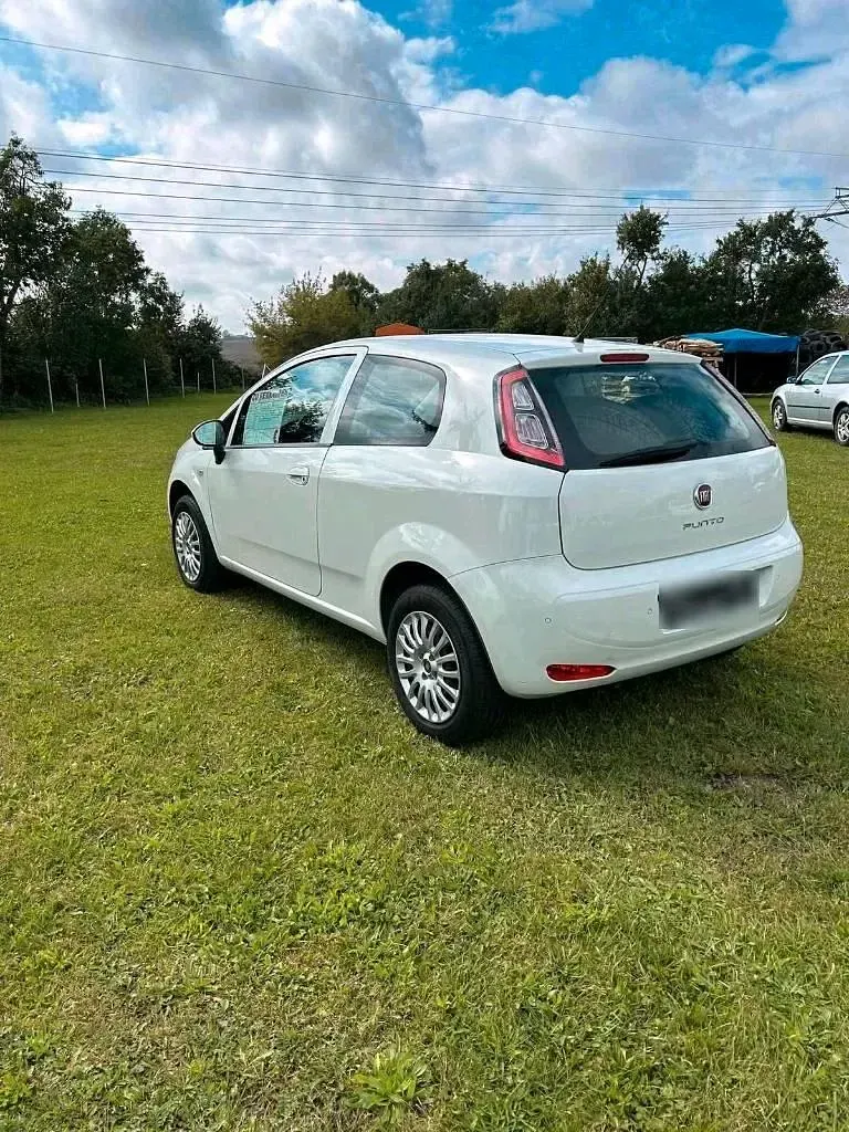 Gebraucht Fiat Punto 78 PS (57 kW) 2015 Weiß Kleinwagen