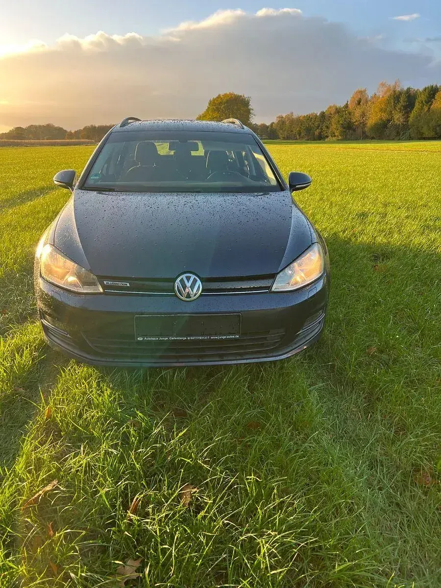 Gebraucht VW Golf VII Trendline 110 PS (80 kW) 2016 Blau Kombi