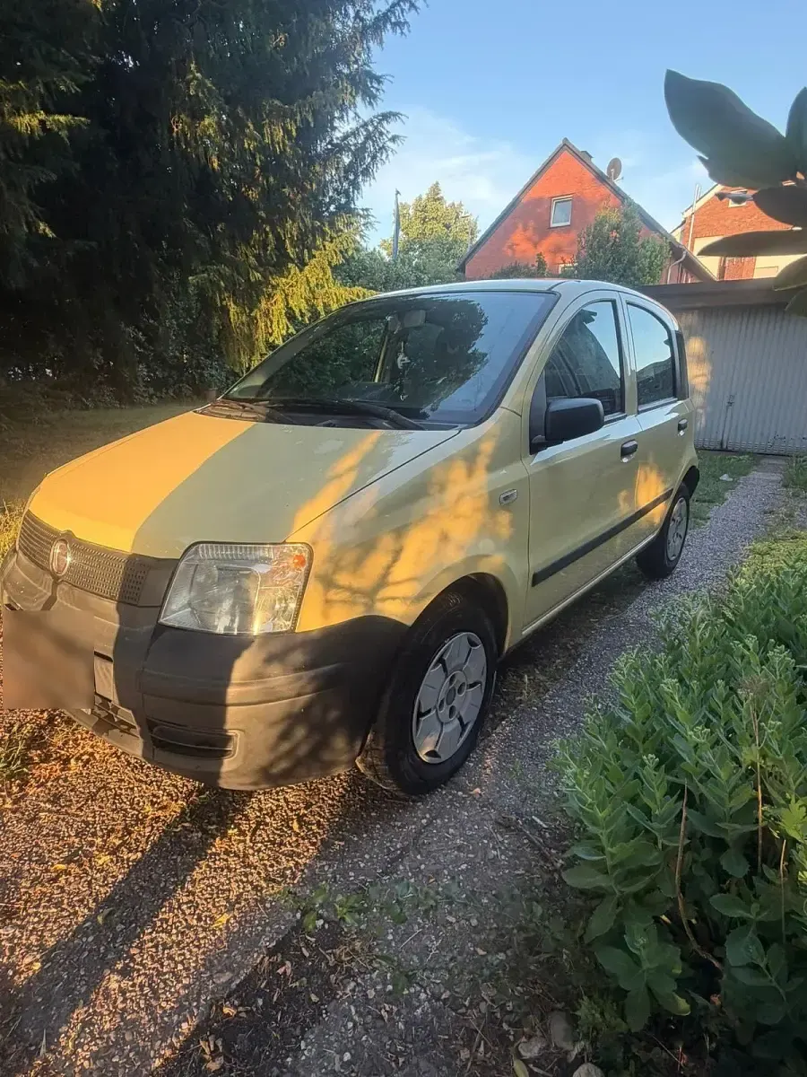 Gebraucht Fiat Panda 69 PS (50 kW) 2008 Gelb Kleinwagen