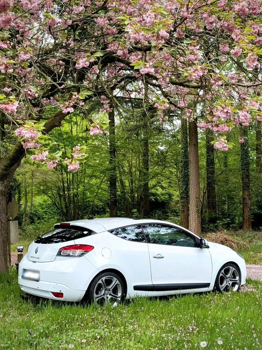 Gebraucht Renault Mégane Coupé 180 PS (132 kW) 2010 Weiß Coupé