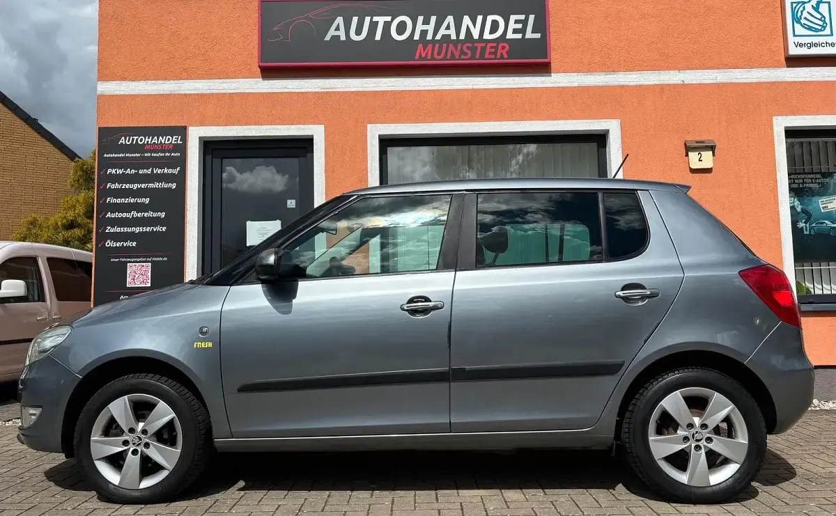 Gebraucht Skoda Fabia Fresh 70 PS (51 kW) 2013 Grau Limousine