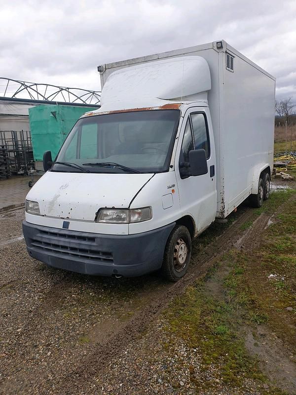Gebraucht Fiat Ducato 128 PS (94 kW) 2001 Weiß Van