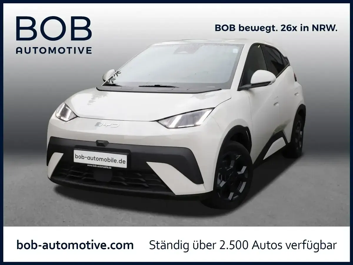 Gebraucht BYD Dolphin Surf Comfort 114 kW (156 PS) 2025 Kleinwagen