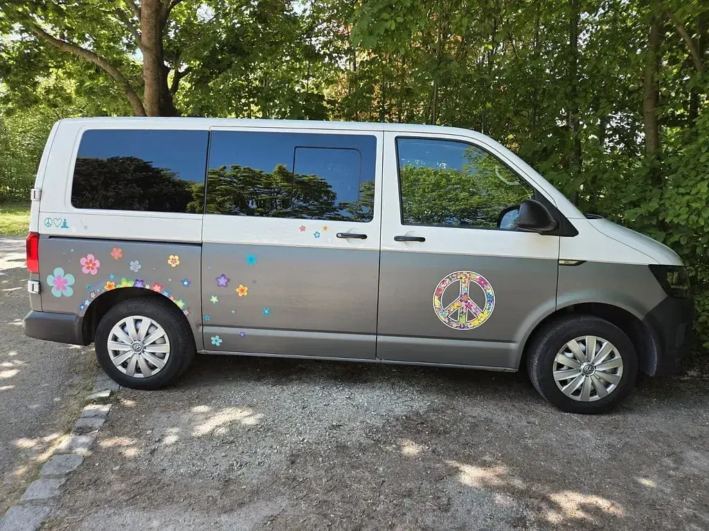 Gebraucht VW T6 150 PS (110 kW) 2017 Grau Van