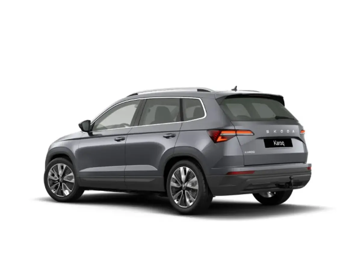 Usata Skoda Karoq 150 CV (110 kW) 2026 Grigio SUV