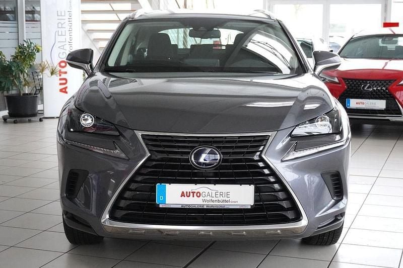 Gebraucht Lexus NX300h 197 PS (144 kW) 2020 Grau SUV