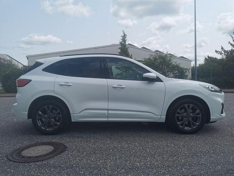 Gebraucht Ford Kuga ST-Line X 150 PS (110 kW) 2020 Weiß SUV