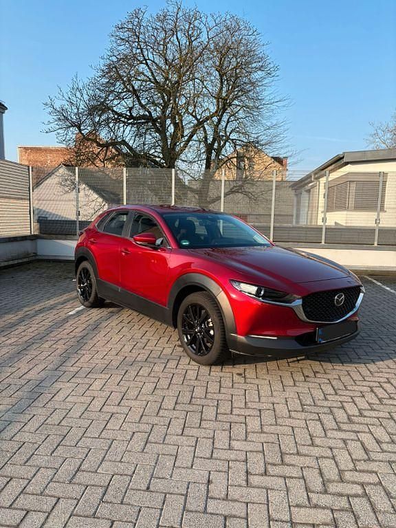 Gebraucht Mazda CX-30 Exclusive-Line 122 PS (89 kW) 2022 Rot SUV