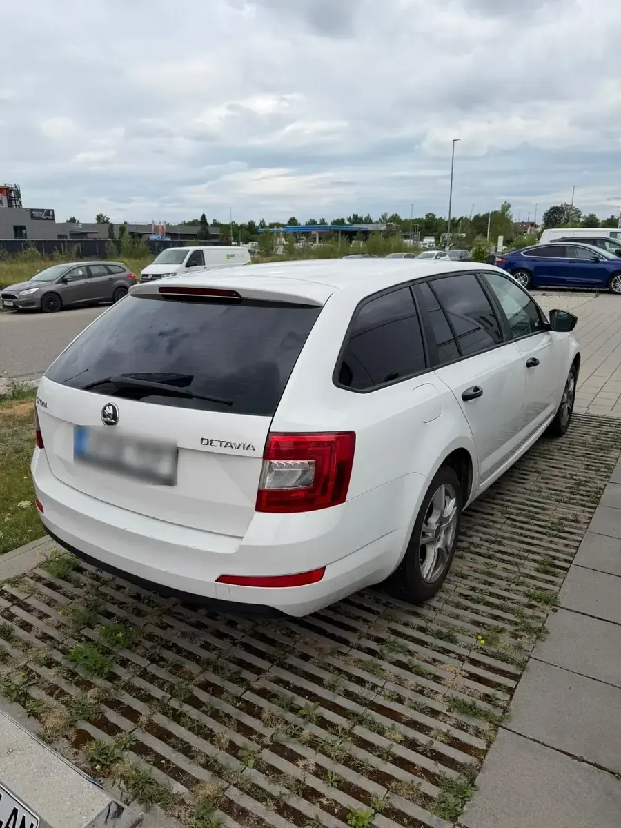 Gebraucht Skoda Octavia 105 PS (77 kW) 2014 Weiß Kombi