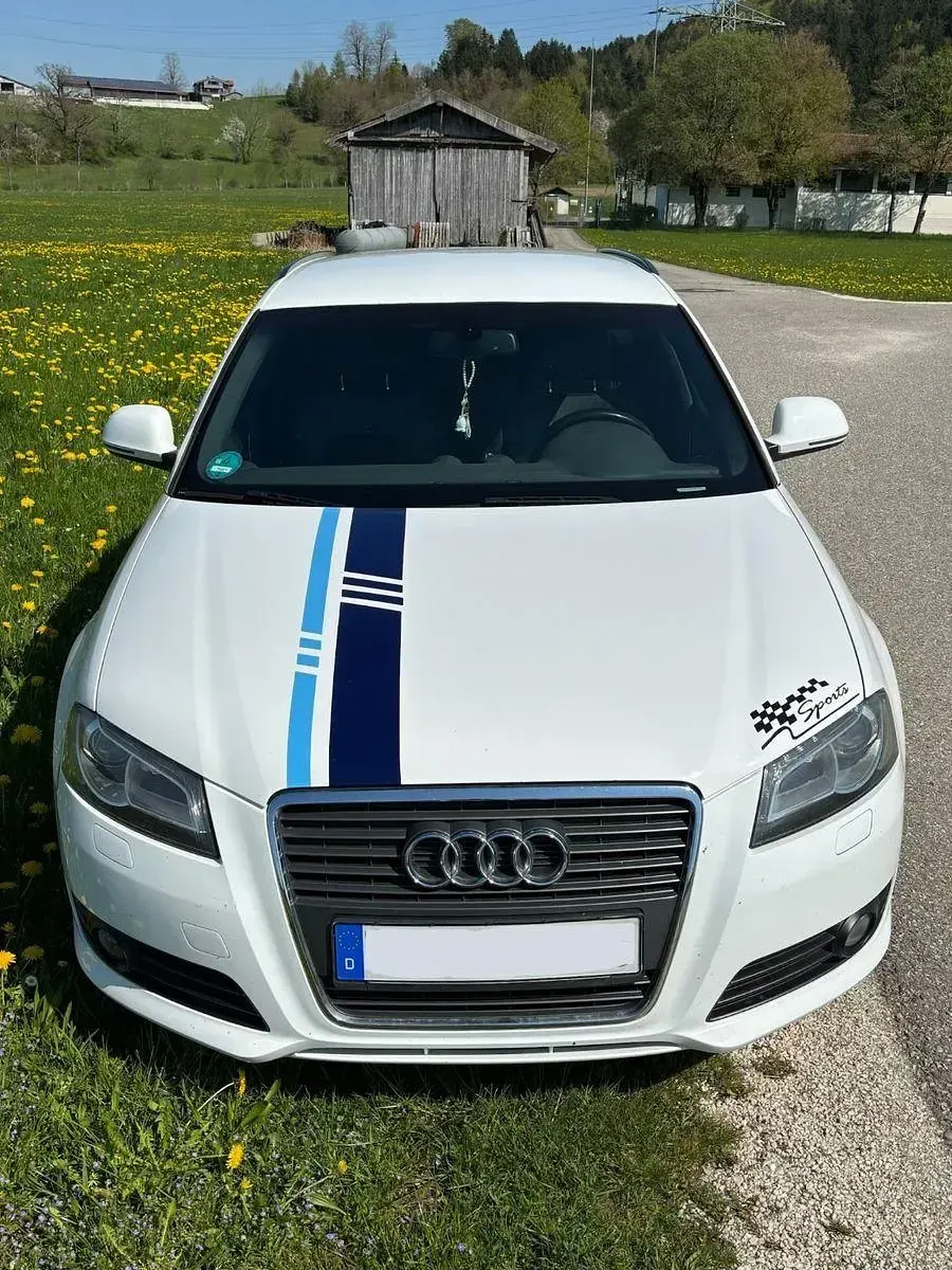 Gebraucht Audi A3 S-Line 125 PS (91 kW) 2009 Weiß Kleinwagen