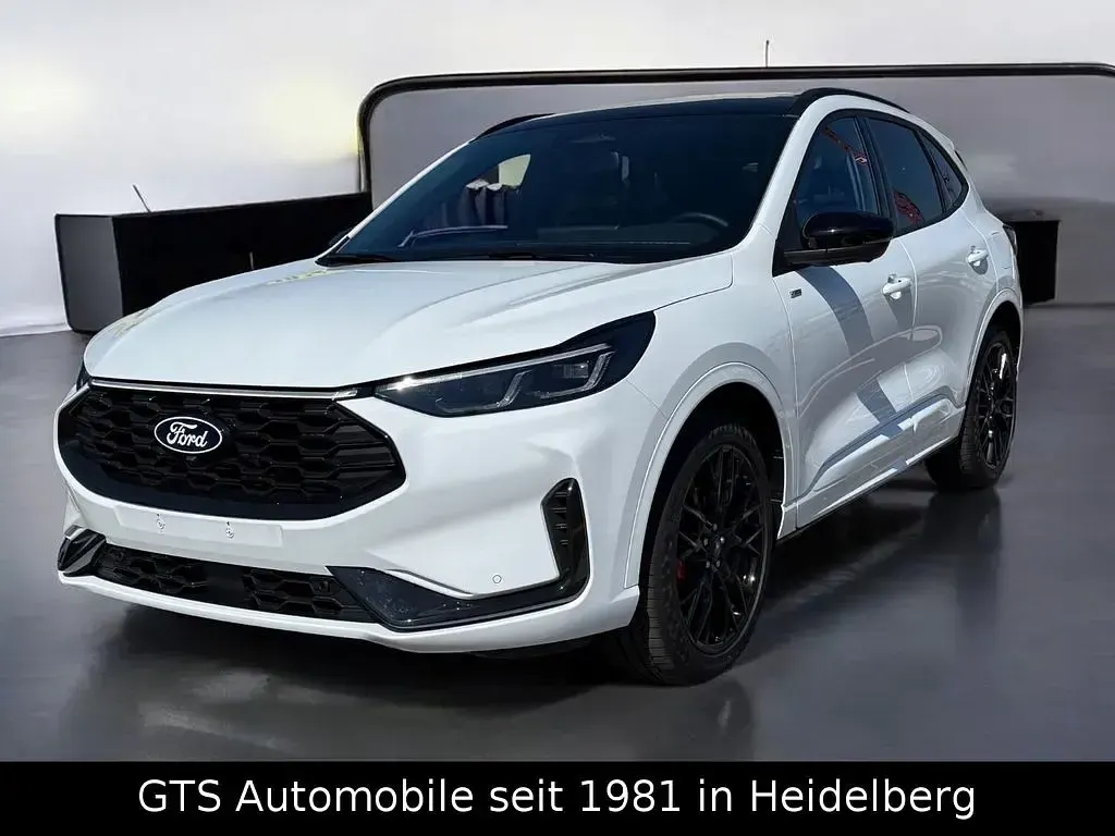Gebraucht Ford Kuga ST-Line X 186 PS (136 kW) 2026 Weiß SUV