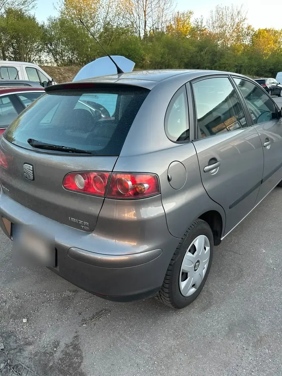 Gebraucht Seat Ibiza 75 PS (55 kW) 2004 Grau Kleinwagen