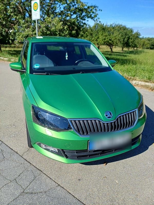 Grün Gebraucht 2018 Skoda Fabia Clever Kleinwagen | 9.000 € (Guter Preis) - Bild 1/4