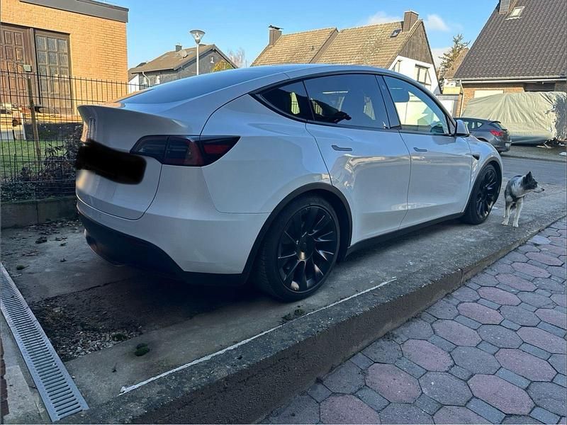 Gebraucht Tesla Model Y Standard Range 2023 Weiß SUV