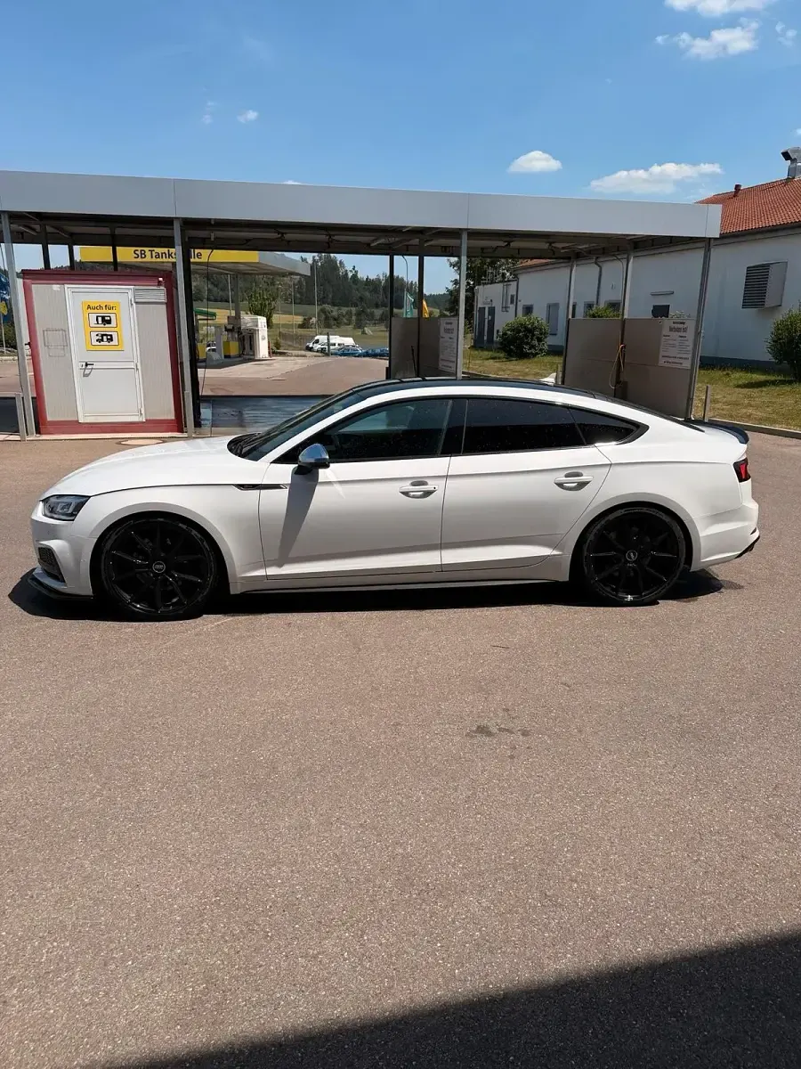 Gebraucht Audi S5 Sportback 354 PS (260 kW) 2018 Weiß Kleinwagen