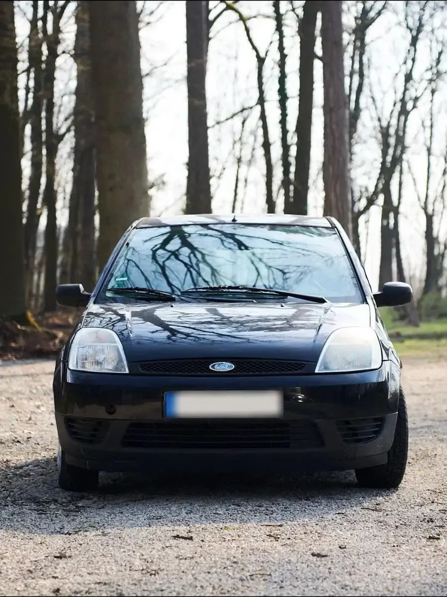 Gebraucht Ford Fiesta 60 PS (44 kW) 2004 Blau Kleinwagen