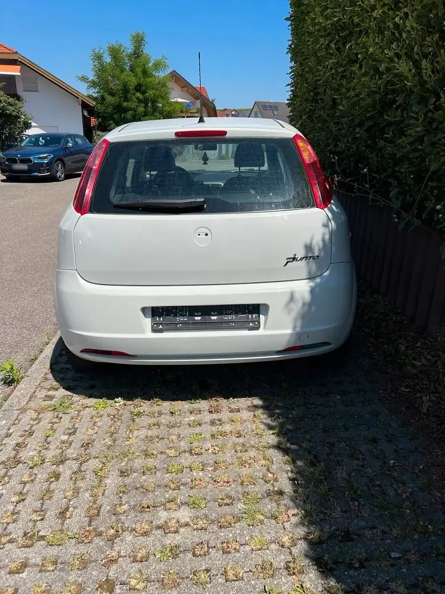 Gebraucht Fiat Punto 65 PS (47 kW) 2009 Weiß Kleinwagen