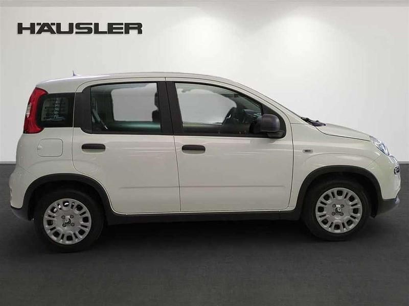 Gebraucht Fiat Panda 69 PS (50 kW) 2024 Weiß Limousine