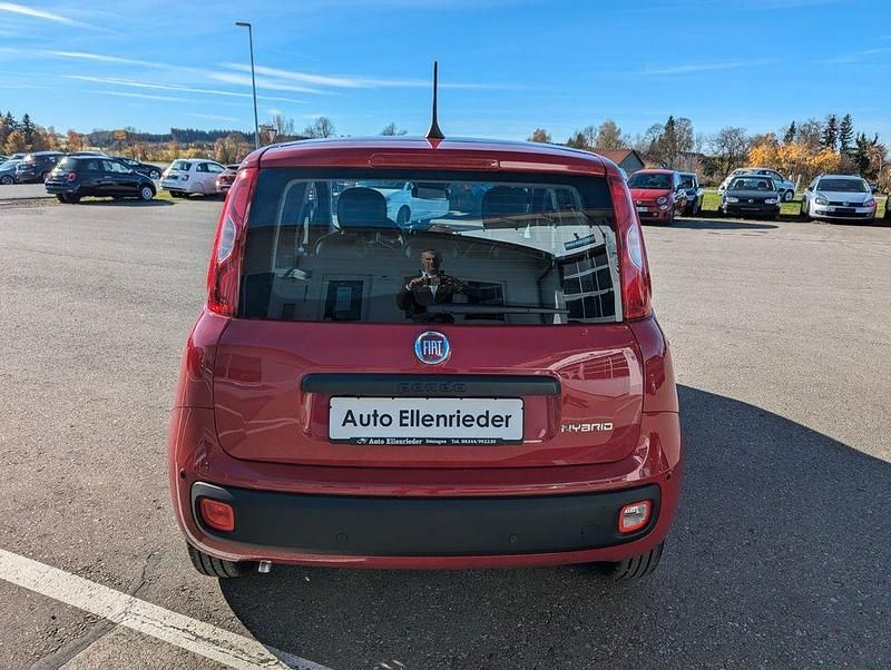 Neu Fiat Panda 69 PS (50 kW) 2025 Rot Limousine