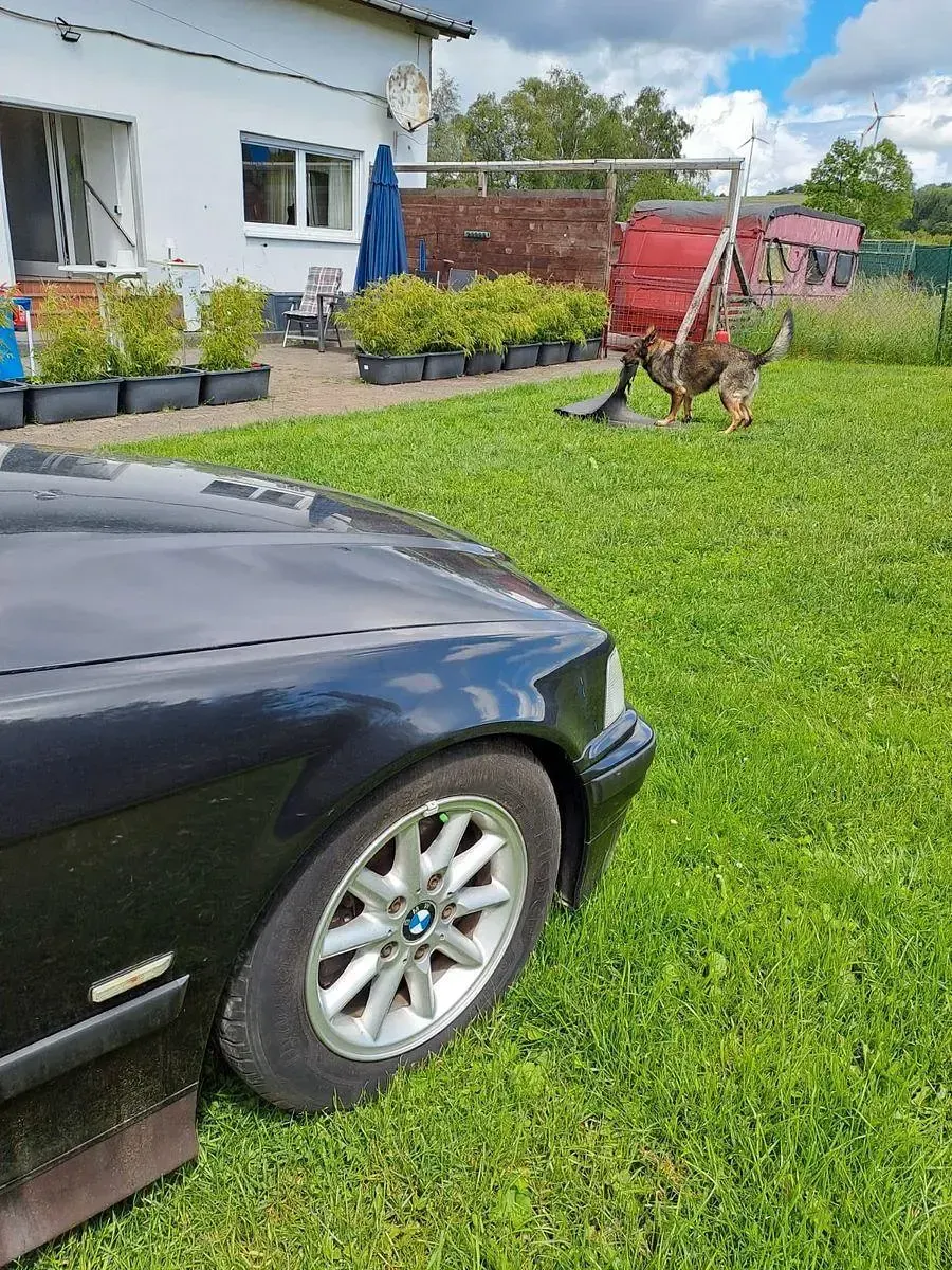 Gebraucht BMW 316 102 PS (75 kW) 1998 Coupé