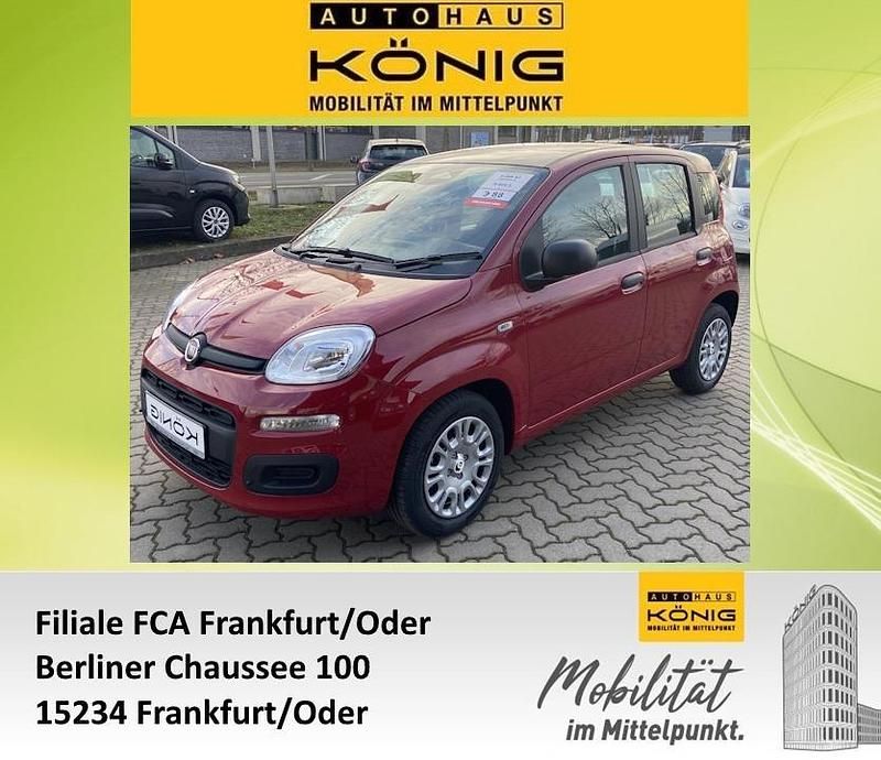 Neu Fiat Panda 69 PS (50 kW) 2025 Rot Kleinwagen