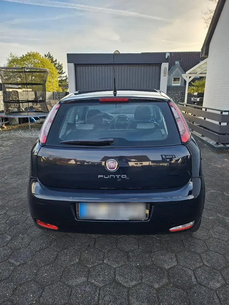 Gebraucht Fiat Punto Evo 69 PS (50 kW) 2012 Blau Kleinwagen