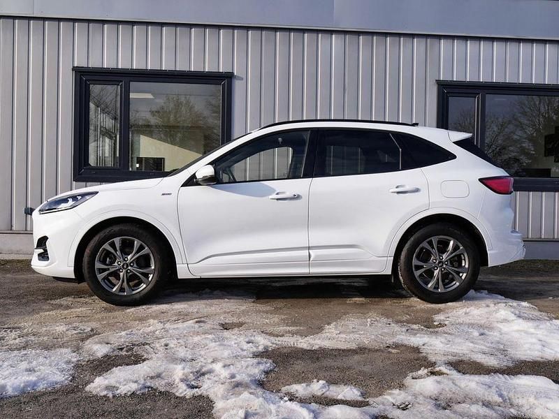 Gebraucht Ford Kuga ST-Line X 190 PS (139 kW) 2022 Frozen white (weiß) SUV