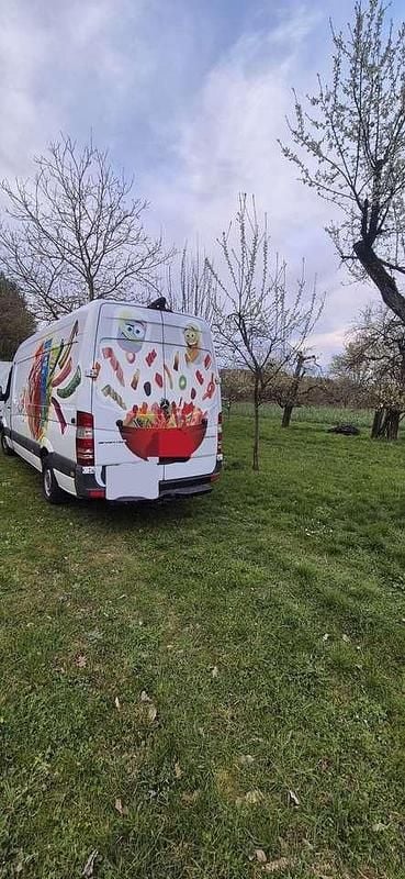 Gebraucht Mercedes Sprinter 163 PS (119 kW) 2015 Van