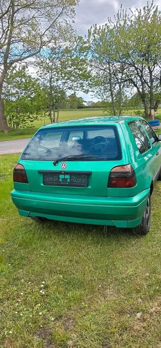 Gebraucht VW Golf III 60 PS (44 kW) 1995 Grün Kleinwagen