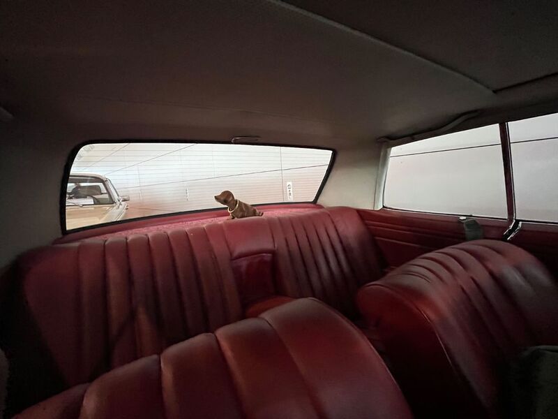 Gebraucht Mercedes 280 185 PS (136 kW) 1972 Blau Coupé