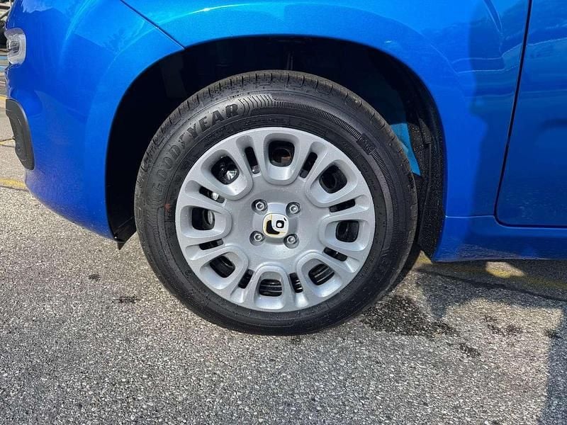 Neu Fiat Panda 69 PS (50 kW) 2025 Blau Kleinwagen