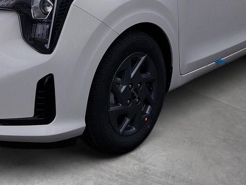 Gebraucht Kia Picanto Vision 68 PS (50 kW) 2026 Weiss Kleinwagen