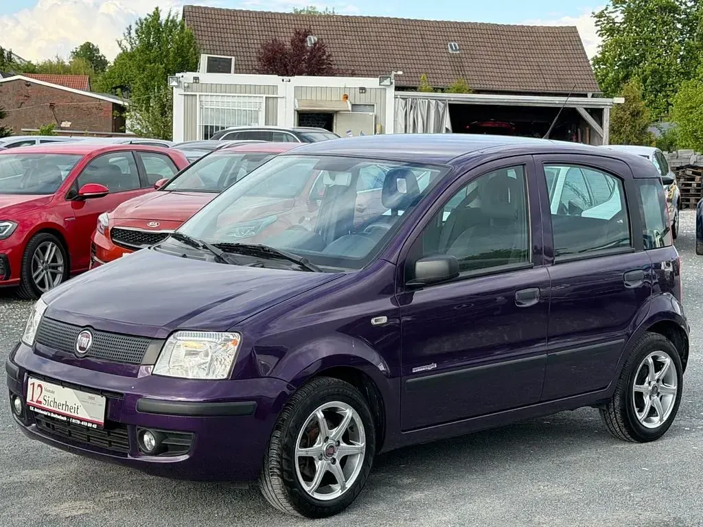 Gebraucht Fiat Panda Active 54 PS (39 kW) 2008 Violet Kleinwagen