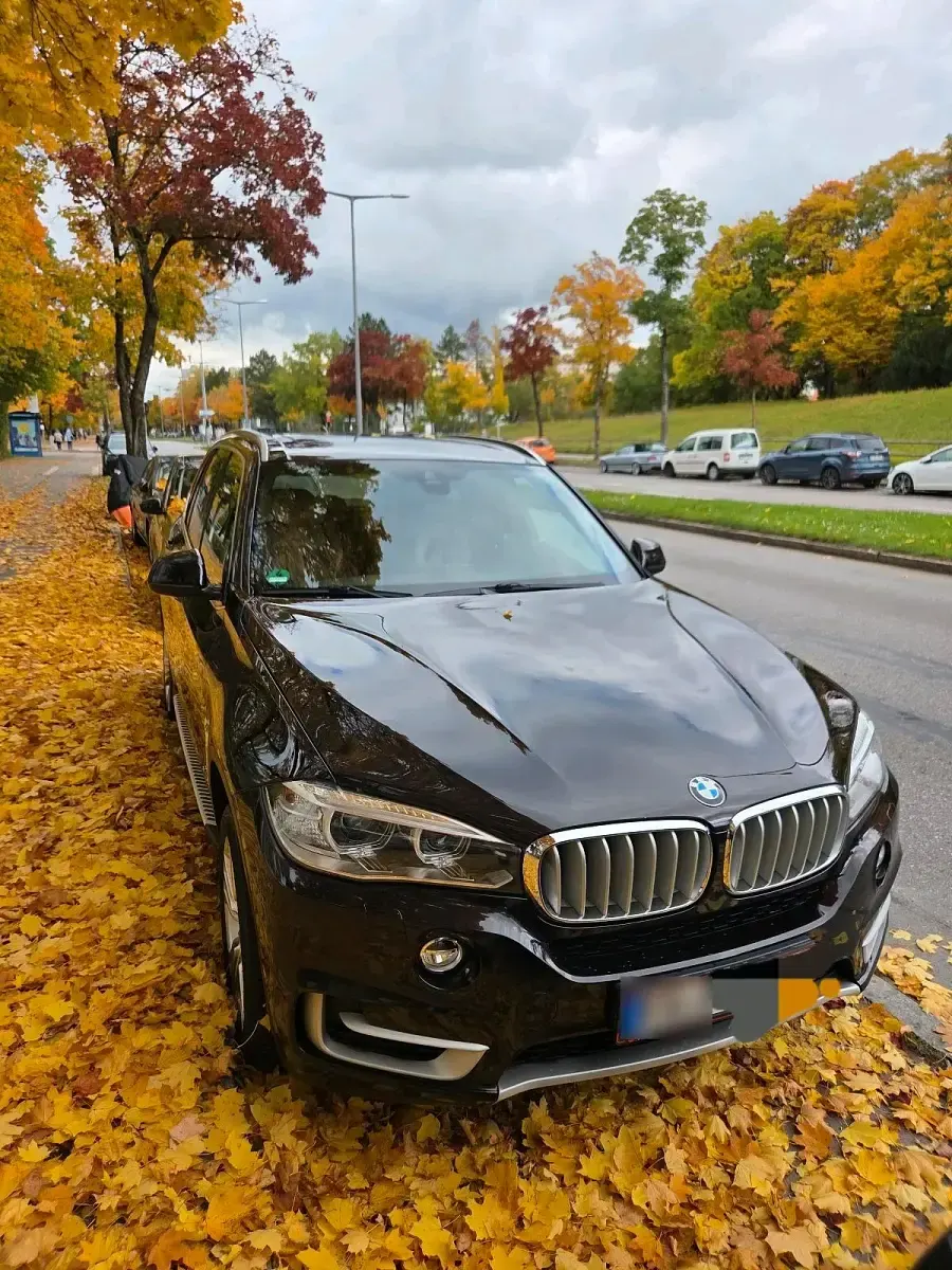 Gebraucht BMW X5 258 PS (189 kW) 2014 Braun SUV