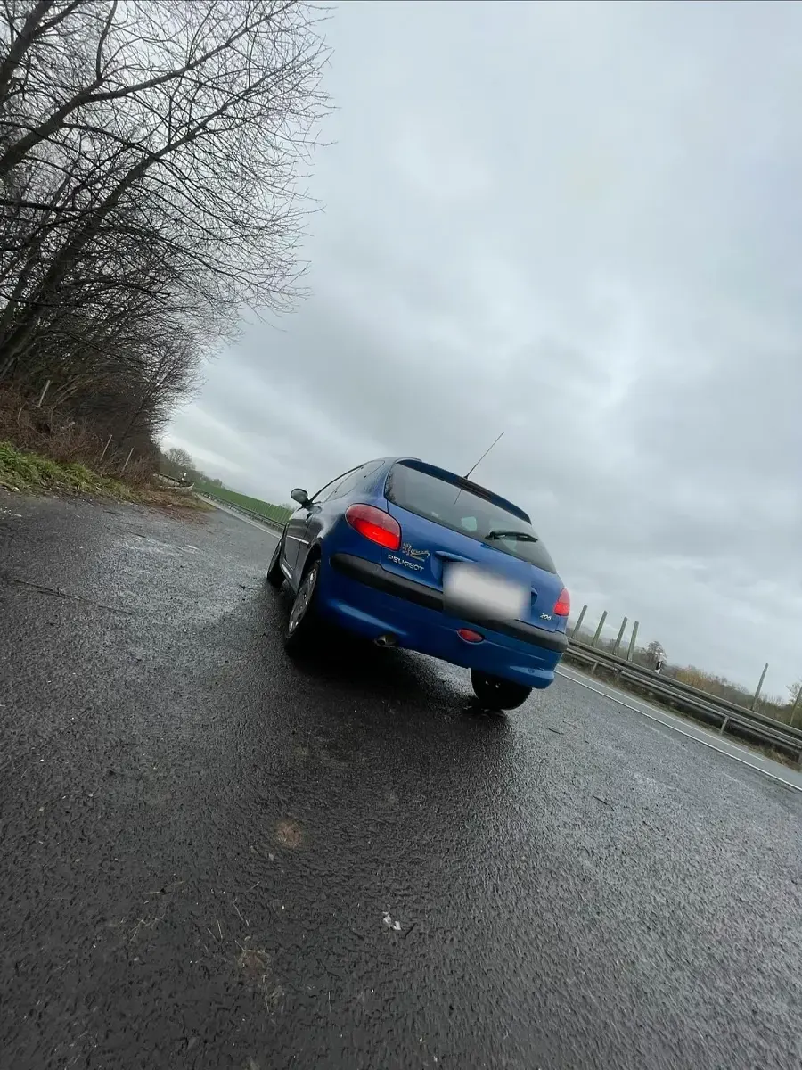 Gebraucht Peugeot 206 60 PS (44 kW) 2001 Blau Kleinwagen