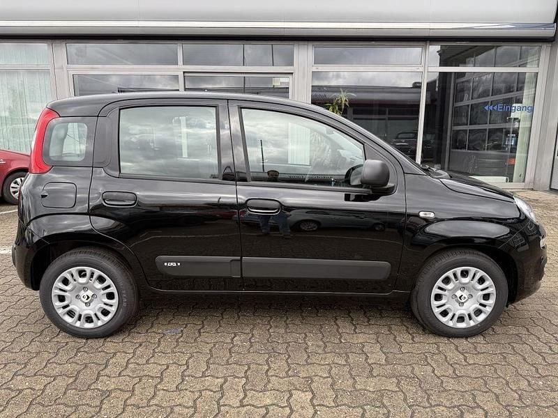 Neu Fiat Panda 69 PS (50 kW) 2025 Cinema schwarz Kleinwagen