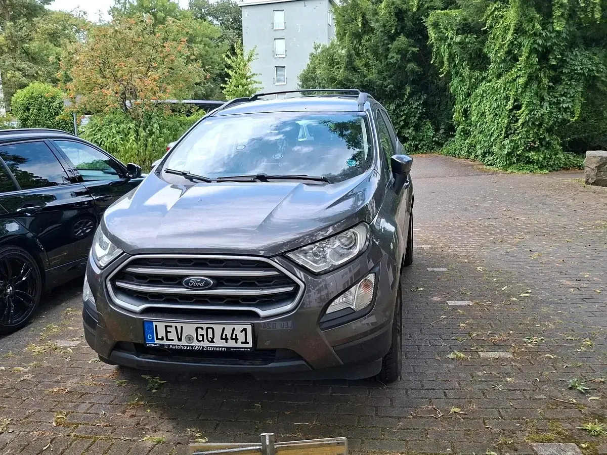 Gebraucht Ford Ecosport Trend 125 PS (91 kW) 2019 Grau SUV