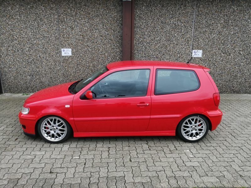bbs polo 6n